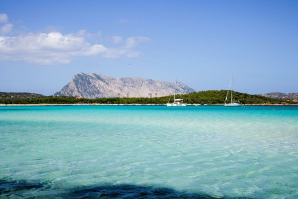 appartamento in vendita a San Teodoro(SS) in zona Lu Impostu