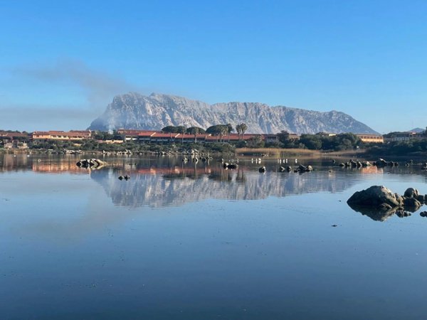 negozio in vendita a San Teodoro(SS) in zona Capo Coda Cavallo