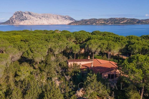 casa indipendente in vendita a San Teodoro(SS) in zona Capo Coda Cavallo