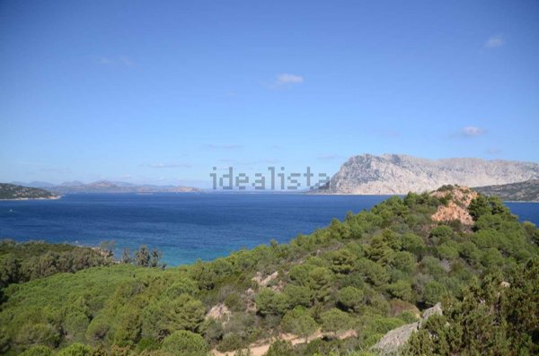 appartamento in vendita a San Teodoro(SS) in zona La Cinta