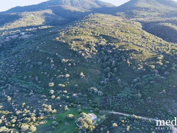 terreno agricolo in vendita a San Teodoro(SS)
