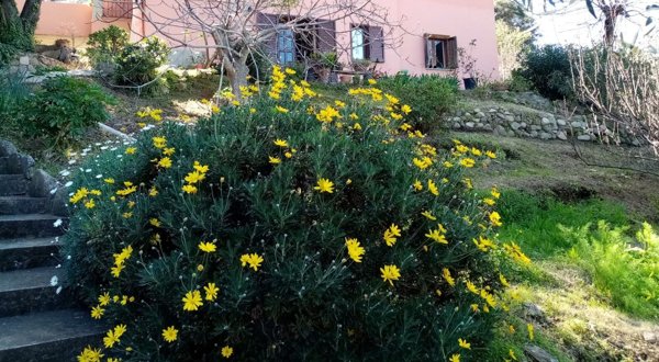 appartamento in vendita a San Teodoro(SS) in zona Franculacciu