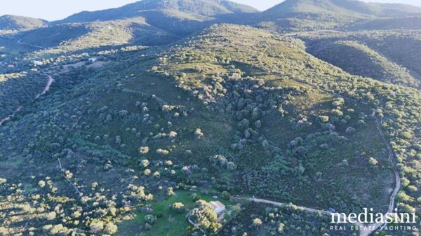 terreno agricolo in vendita a San Teodoro(SS) in zona Capo Coda Cavallo