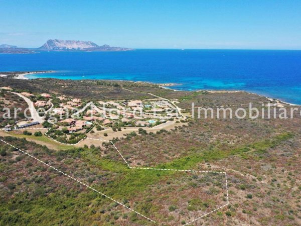 terreno agricolo in vendita a San Teodoro(SS) in zona Costa Caddu