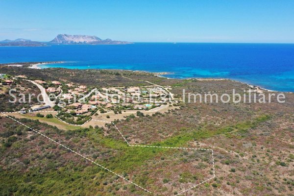 terreno agricolo in vendita a San Teodoro(SS) in zona Costa Caddu