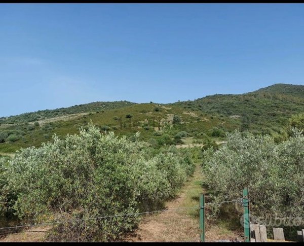 terreno agricolo in vendita a San Teodoro(SS)