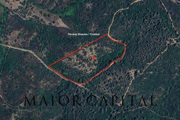 terreno agricolo in vendita a San Teodoro(SS) in zona Buddittogliu Straulas