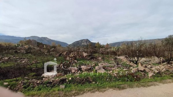 terreno agricolo in vendita a San Teodoro(SS) in zona Nuragheddu