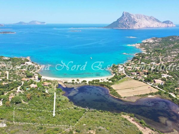 terreno agricolo in vendita a San Teodoro(SS) in zona Monte Petrosu