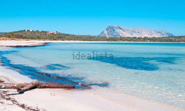 appartamento in vendita a San Teodoro(SS) in zona La Cinta
