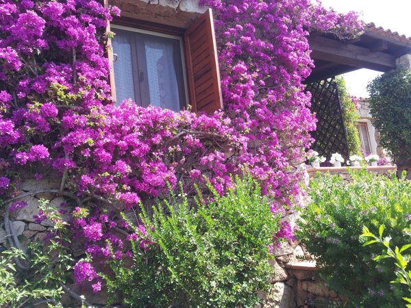 casa indipendente in vendita a San Teodoro(SS) in zona Monte Petrosu
