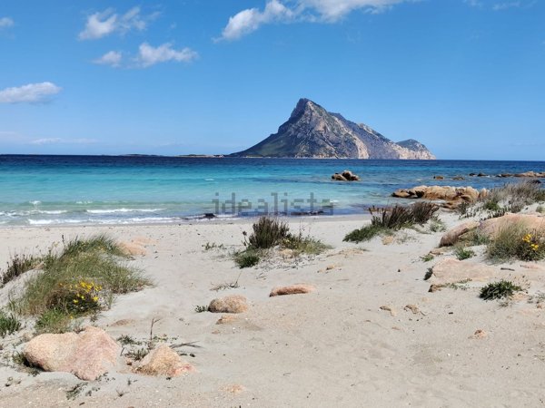 casa indipendente in vendita a San Teodoro(SS) in zona La Cinta