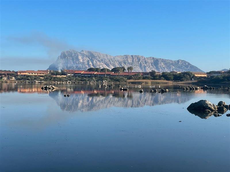 appartamento in vendita a San Teodoro(SS) in zona Capo Coda Cavallo