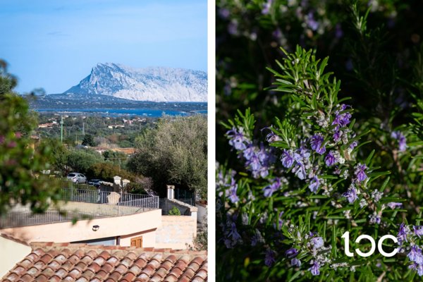casa indipendente in vendita a San Teodoro(SS) in zona Buddittogliu Straulas