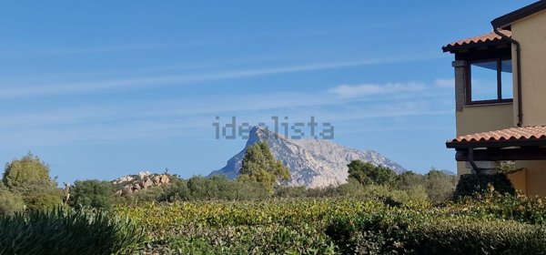appartamento in vendita a San Teodoro(SS) in zona Monte Petrosu