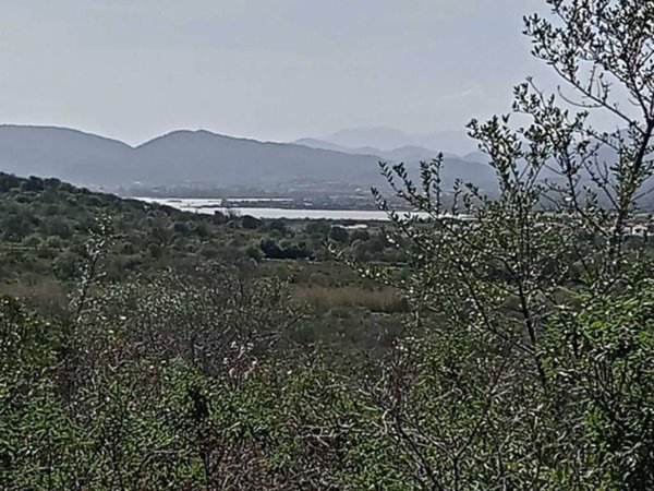 terreno agricolo in vendita a San Teodoro(SS) in zona Lu Fraili