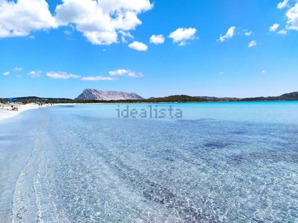 appartamento in vendita a San Teodoro(SS) in zona San Teodoro centro