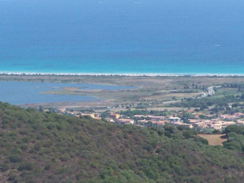 terreno agricolo in vendita a San Teodoro(SS)