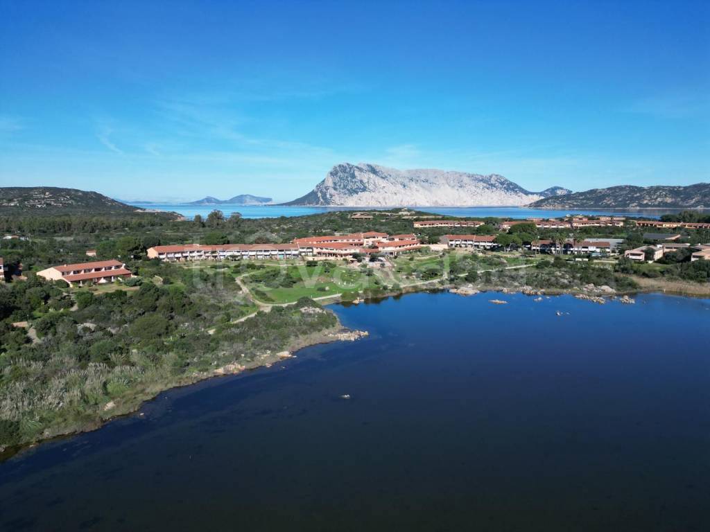 appartamento in vendita a San Teodoro(SS) in zona Capo Coda Cavallo