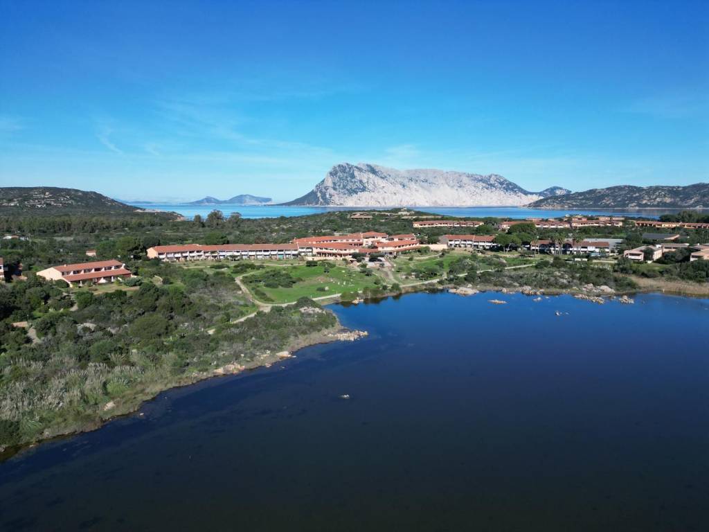 appartamento in vendita a San Teodoro(SS) in zona Capo Coda Cavallo