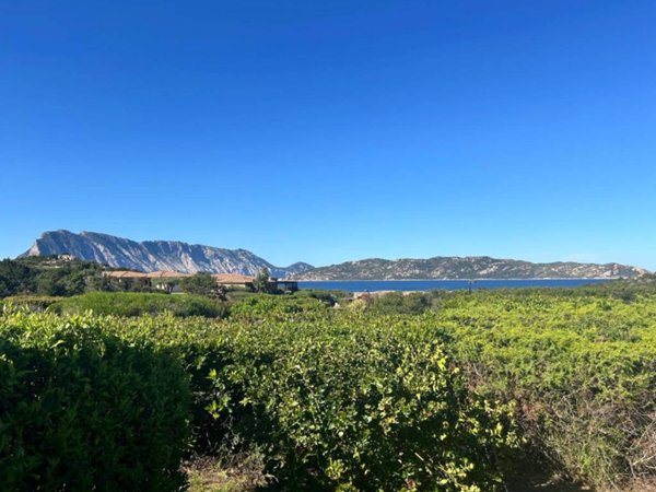 casa indipendente in vendita a San Teodoro(SS) in zona Capo Coda Cavallo