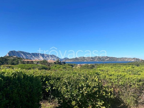 casa indipendente in vendita a San Teodoro(SS) in zona Capo Coda Cavallo