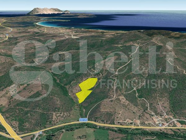 terreno agricolo in vendita a San Teodoro(SS)