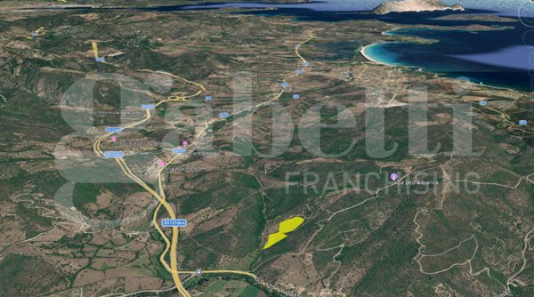 terreno agricolo in vendita a San Teodoro(SS)
