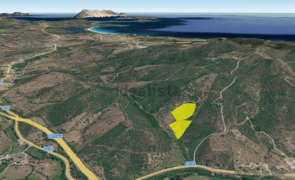 terreno agricolo in vendita a San Teodoro(SS)