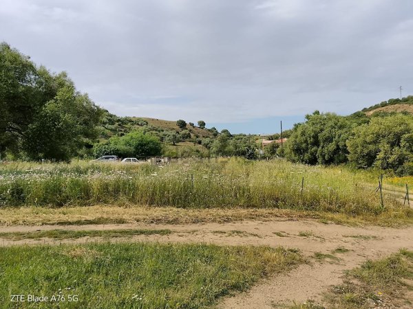 terreno agricolo in vendita a San Teodoro(SS)