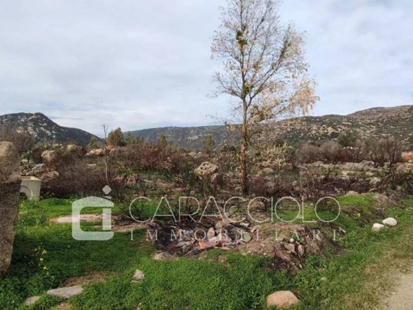 terreno agricolo in vendita a San Teodoro(SS) in zona Nuragheddu