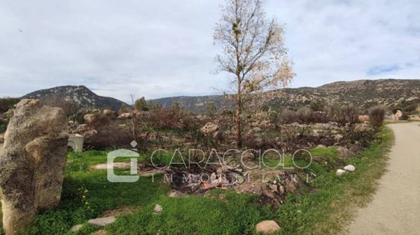 terreno agricolo in vendita a San Teodoro(SS) in zona Nuragheddu