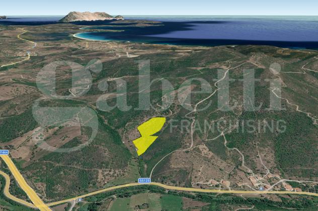 terreno agricolo in vendita a San Teodoro(SS)