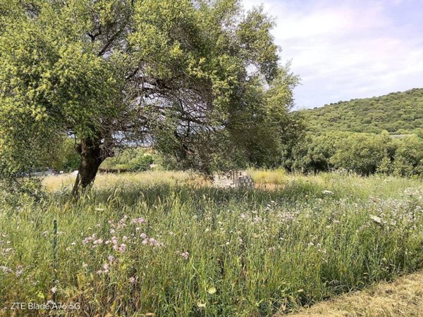 terreno agricolo in vendita a San Teodoro(SS)