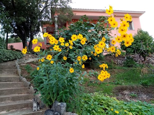 casa indipendente in vendita a San Teodoro(SS)