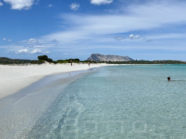 appartamento in vendita a San Teodoro(SS) in zona Badualga / La Runcina
