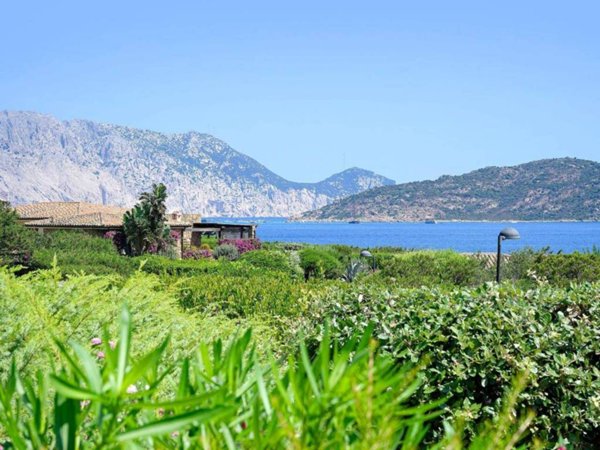 casa indipendente in vendita a San Teodoro(SS) in zona Capo Coda Cavallo