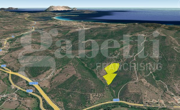 terreno agricolo in vendita a San Teodoro(SS)
