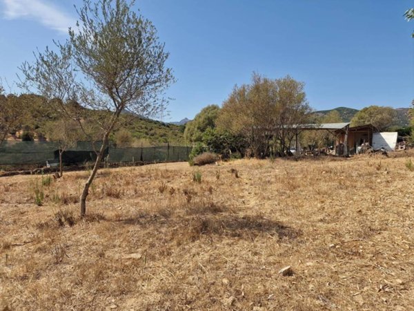 terreno in vendita a San Teodoro(SS) in zona Terrapadeddda