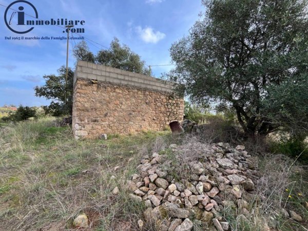 terreno agricolo in vendita ad Arzana