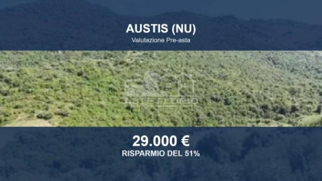 terreno agricolo in vendita ad Austis
