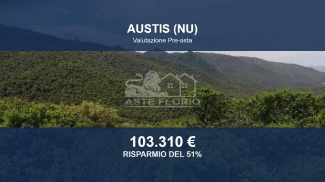 terreno agricolo in vendita ad Austis