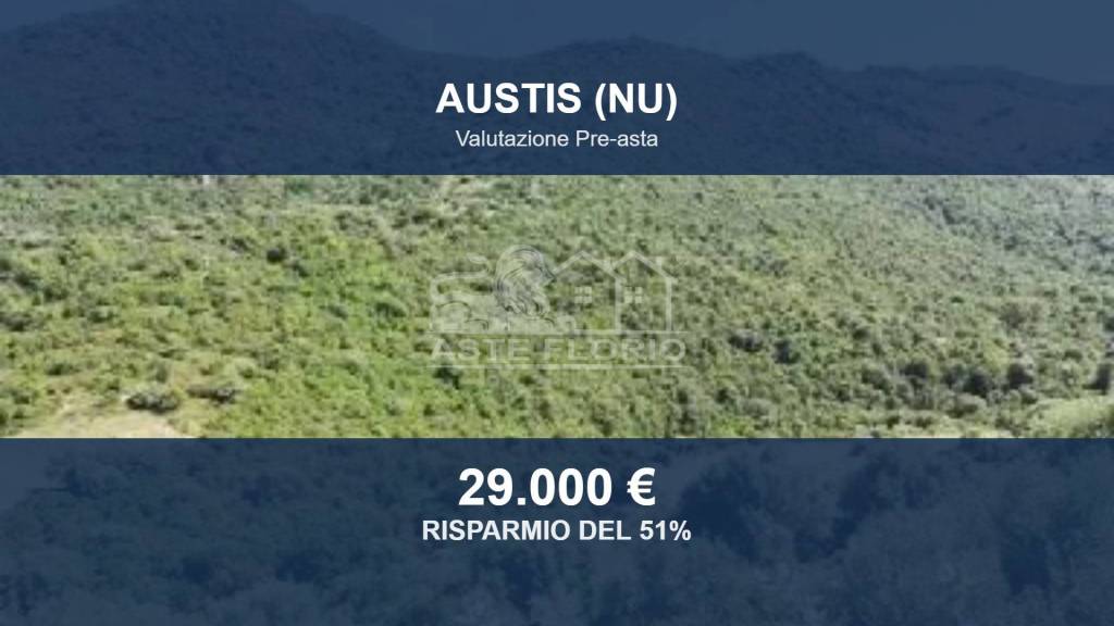 terreno in vendita ad Austis