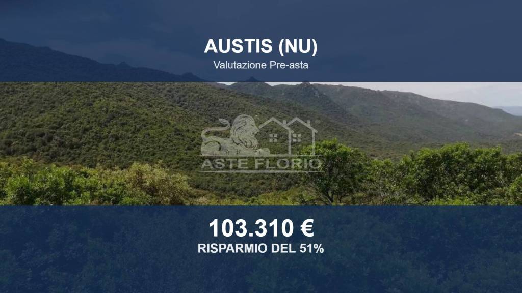 terreno in vendita ad Austis