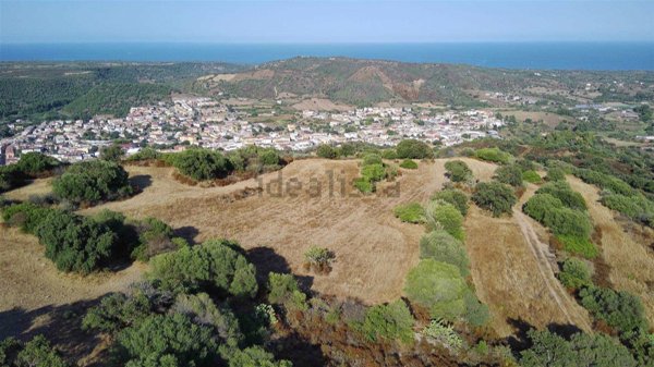 terreno agricolo in vendita a Bari Sardo