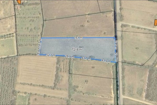 terreno agricolo in vendita a Bari Sardo