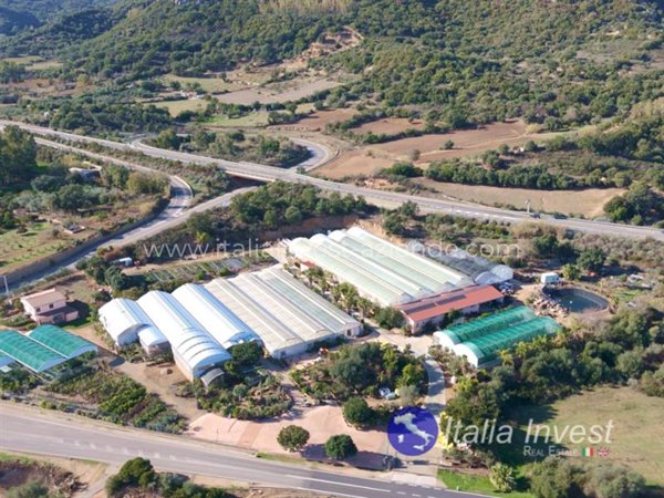 azienda agricola in vendita a Bari Sardo