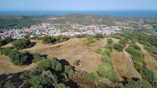 terreno agricolo in vendita a Bari Sardo