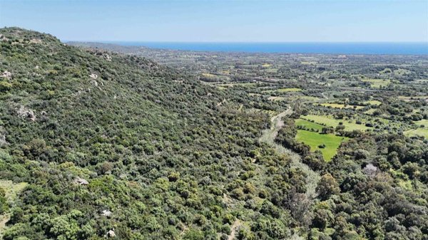terreno agricolo in vendita a Bari Sardo in zona Sa Marina