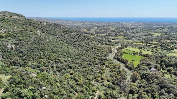 terreno agricolo in vendita a Bari Sardo